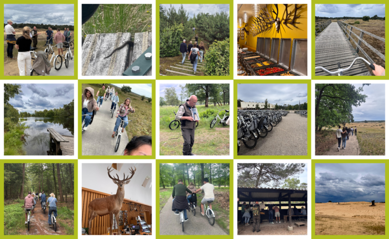 Personeelsuitje op de Hoge Veluwe 🚲